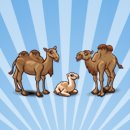 Camel-Tombola bei Facebook 318576_234670253254113kx8i