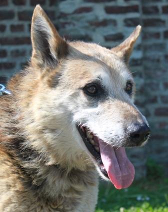 VAGABOND-ER HAT IMMER NOCH KEIN ZUHAUSE 44166912m48