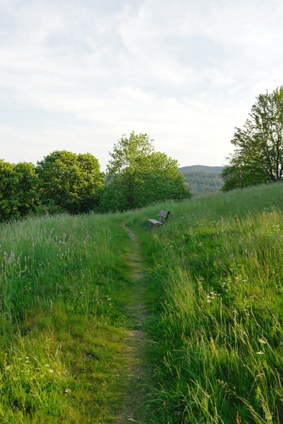 Abendspaziergang um den Galgenberg(Bilder 3.6.2011) Abendspaziergangumdeng6h6s