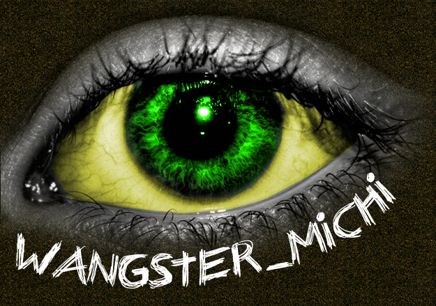 wangster_michi Adobe-photoshop-image-lsnn