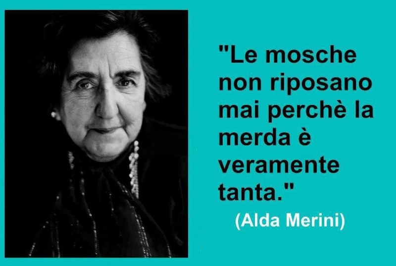 Il ricordo di una persona  Aldamerini8koeh