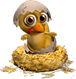 FAQ Pets - Haustiere Alert_chicken5ru7q