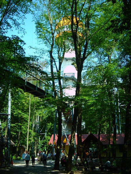 Baumkronenpfad im Nationalpark Hainich Dsc08295hpl3