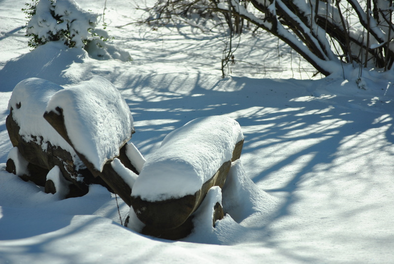 Winterfest zum 2. Dsc_0002pq97