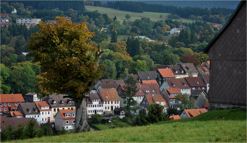 Herbst-Momente I... Dsc_0076hzk7