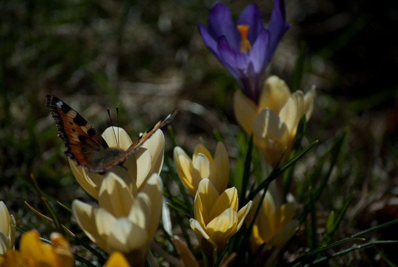 Gestern im Kurpark Dsc_1399ou8m