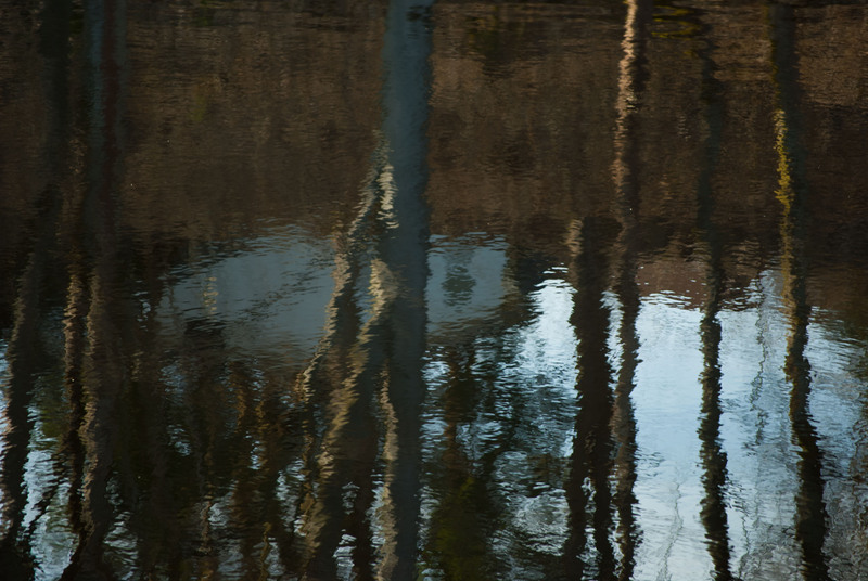 Gestern im Kurpark Dsc_1482onbi