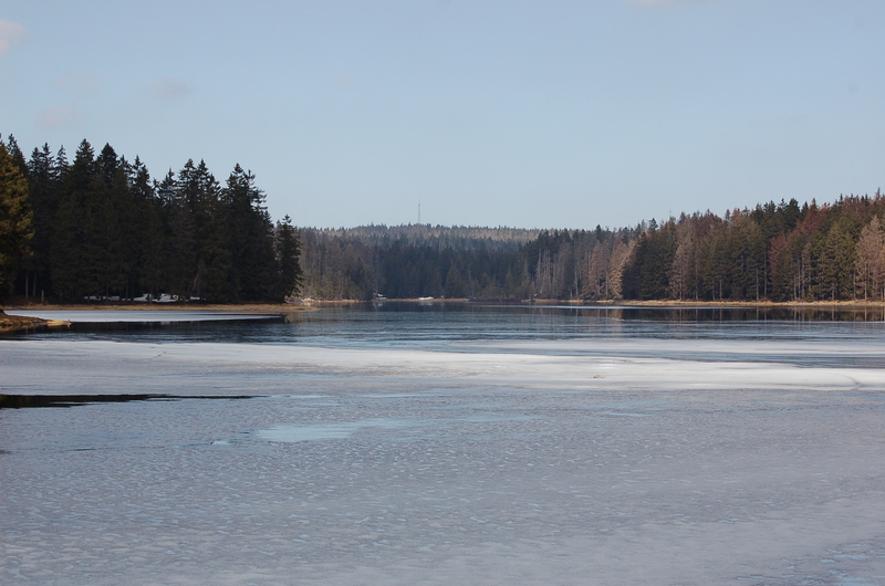 ein Vormittag am Oderteich Dsc_1973ztjg1