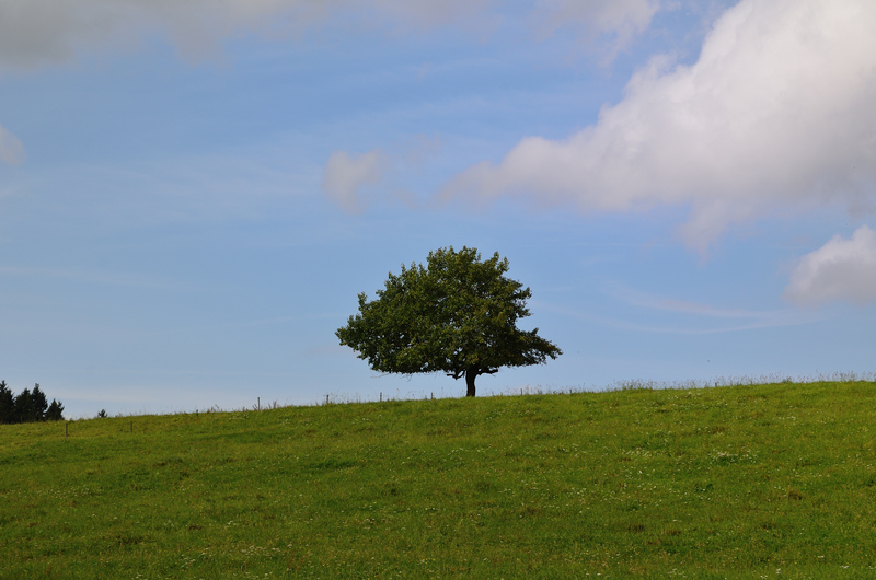 Gestern war ich mal wieder an den Glckauf-Klippen.. Dsc_4100ser8