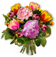  FAQ Handwerk  Florist12gp44x