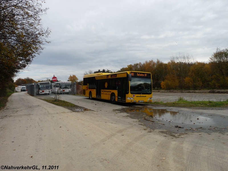 Eure Busbilder - Seite 21 Gl-gw287_1ro4st