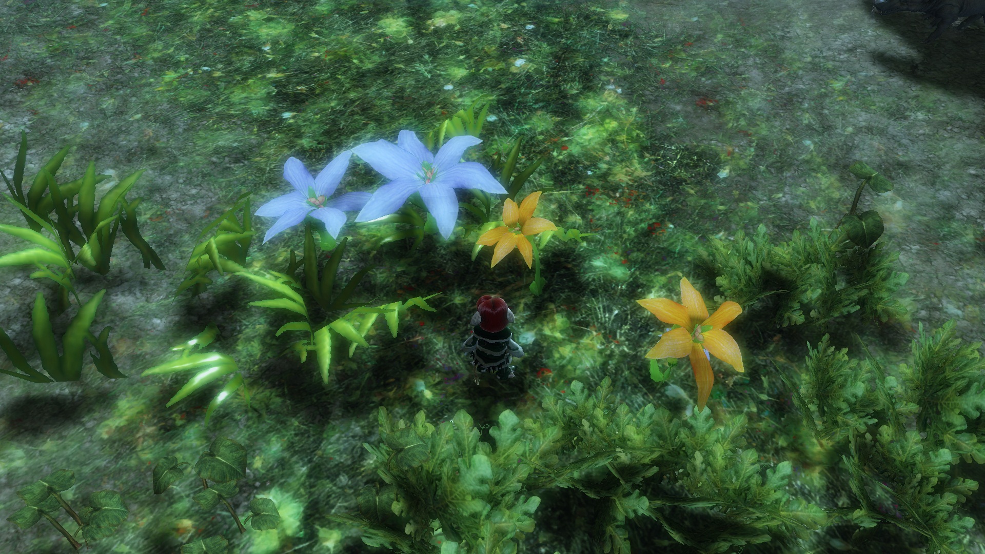 Botanische Forschungen mit Kuh.B.A. Gw288nka0u