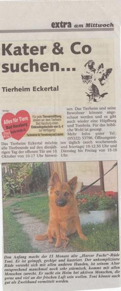 Harzfuchs TONI  sucht neues Zuhause Image0qwsr