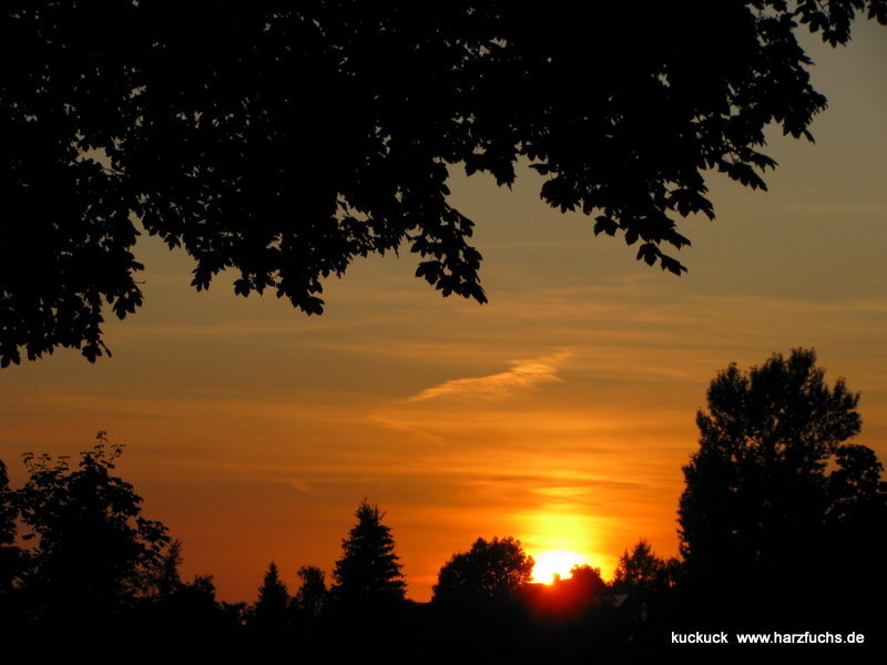 Urlaubs-Sommer-Abend in St. Andreasberg Img_1096-17e6l