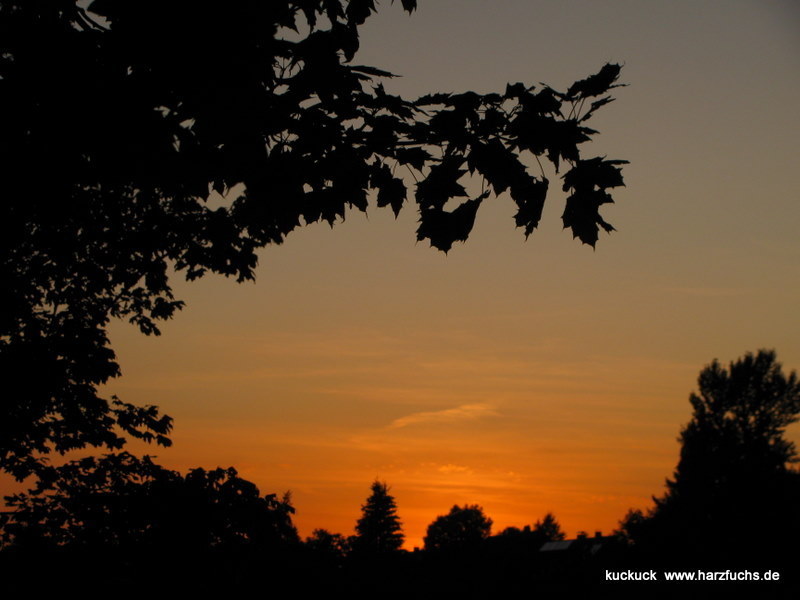 Urlaubs-Sommer-Abend in St. Andreasberg Img_1116-167j5