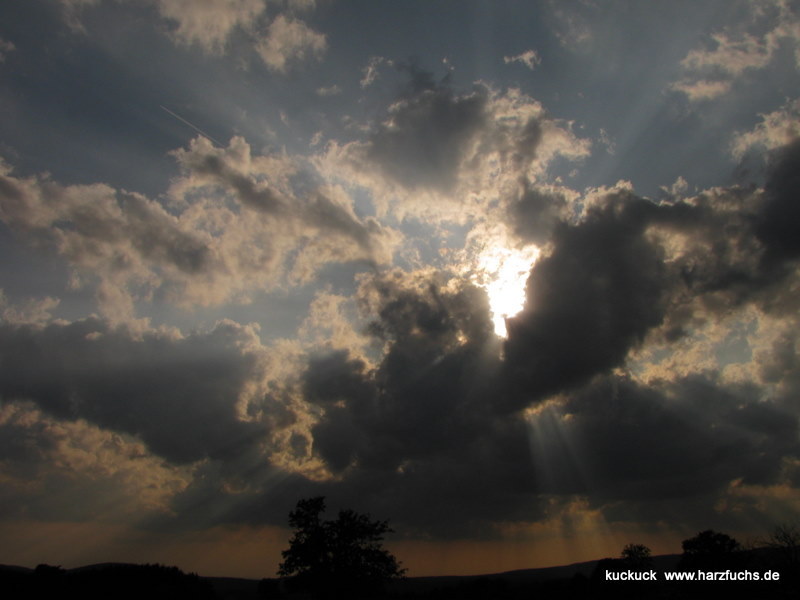 Rund ums Sankt am 18. August - abendliche Eindrcke Img_1129-10id7