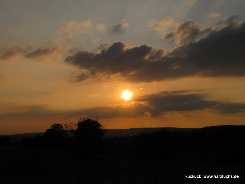 Rund ums Sankt am 18. August - abendliche Eindrcke Img_1181-15rwc