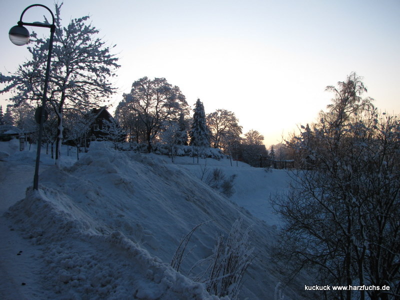 Ein sonniger Morgen Img_6523-1bkl2