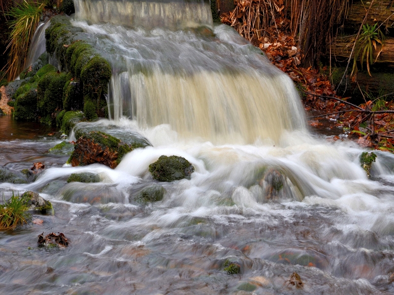 Hilfe-Gottes Teich (Bilder 17.4.2011) K-dsc_14579y6w