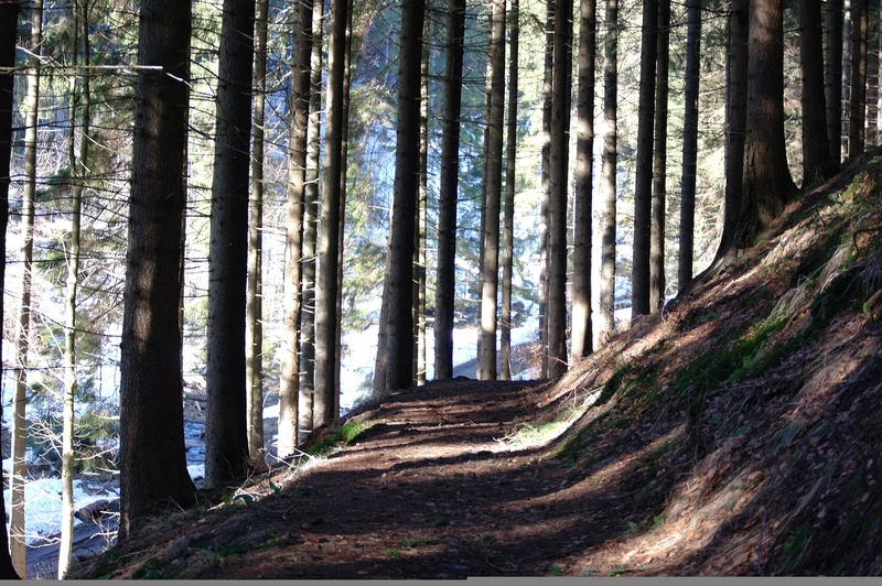 Schnes Wetter=Spaziergang...(Bilder) K-ersterspaziergang2014iux