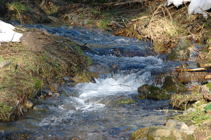 Schnes Wetter=Spaziergang...(Bilder) K-ersterspaziergang201jg0d