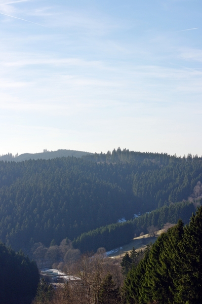 Schnes Wetter=Spaziergang...(Bilder) K-ersterspaziergang201me71