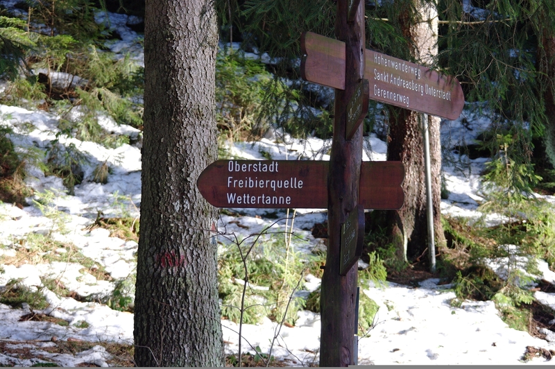 Schnes Wetter=Spaziergang...(Bilder) K-ersterspaziergang201vf67