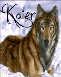 Kaier - Die Tigerin Kaiery34m