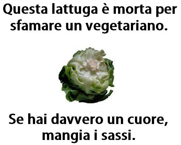 Alcune argomentazioni dei vegetariani - Pagina 10 Lattuga_sassif1pcv