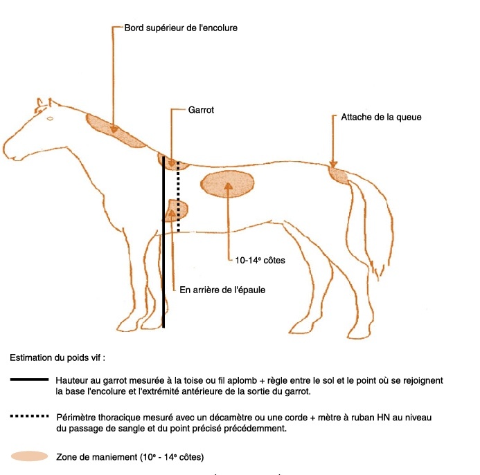 [ Alimentation ] Mobile.22tqi7u