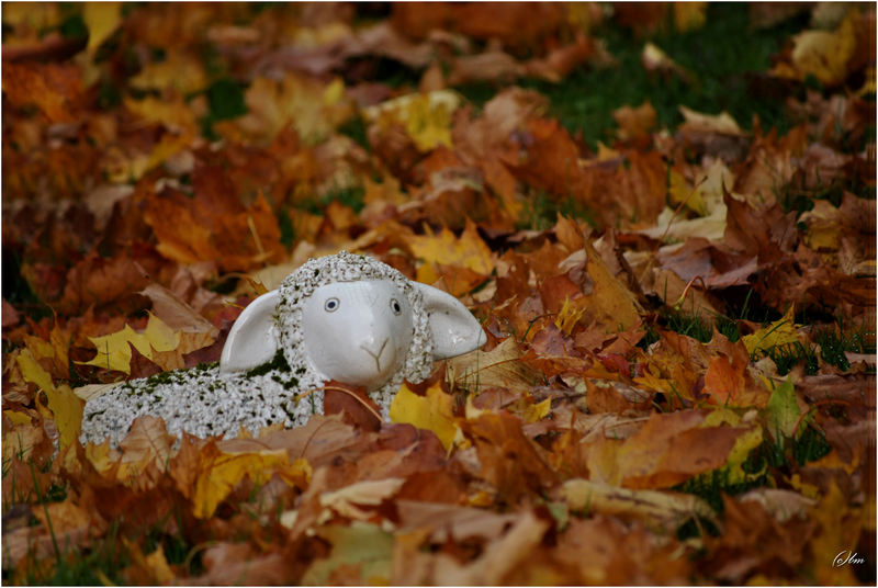 Herbst-Momente I... Okdsc_0030vbub