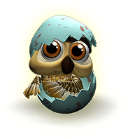 FAQ Pets - Haustiere Owl_babyzpbce