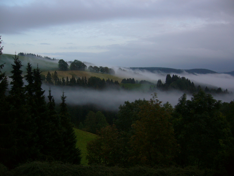 Sonntag Morgen im Sankt P1050685xjx3