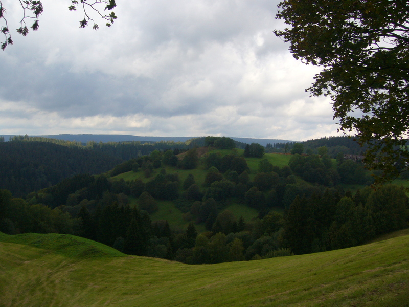 Gestern mal nen Gang um den Galgenberg P1050712jurb