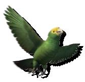 [Oumu || Papagei] Rens Kuchiyose  Parrot3p6uf4