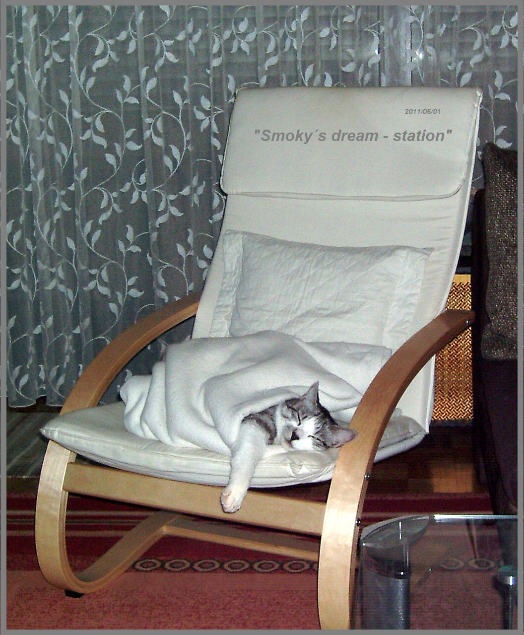 Relax and teake it easy - my cat "Smoky" Smokyinseinemdream-sesjnyn