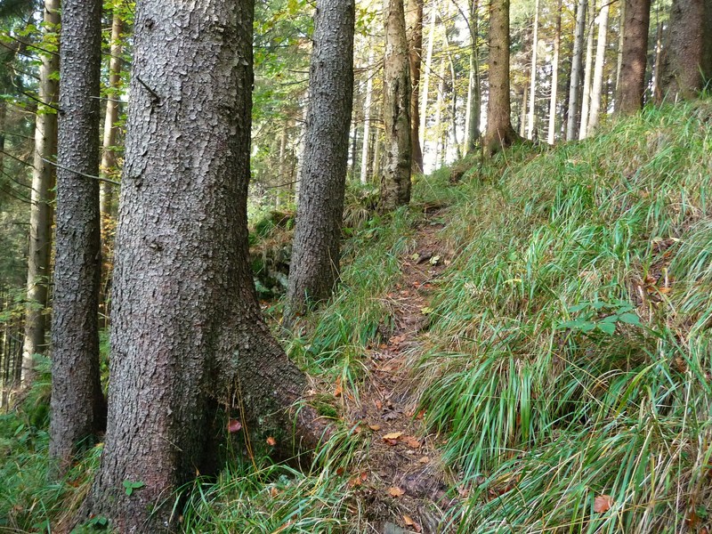 Sonntagsgang um den "Totenberg" Spaziergangtotenberg172nuo