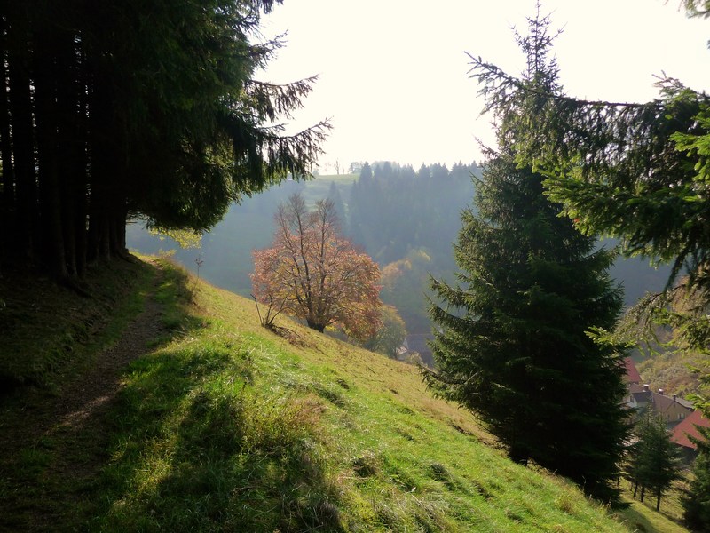 Sonntagsgang um den "Totenberg" Spaziergangtotenberg17jegz