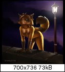 Altes Forum Raccoon2_ib4fq7w4