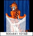 Altes Forum Tiger_wrap_c28td