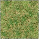 Kreuzung - Texturen verdunkelt InGame - Seite 2 Grass0093_2_smikc4