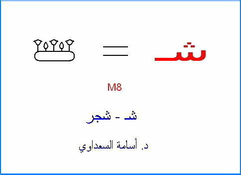 أصول حروف اللغة العربية - صفحة 2 Sh