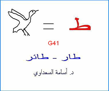 أصول حروف اللغة العربية - صفحة 2 Ta