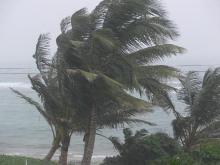 VIERNES 19 DE AGOSTO DE 2011,POR FAVOR DEJEN SUS MSJS.DIARIOS AQUI.GRACIAS.. - Página 4 Viento