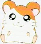 تقرير عن المسمل هامتارو Hamtaro