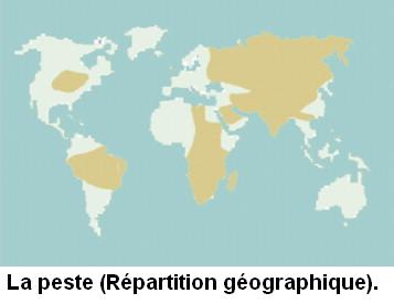 Arizona J-2...:-))) Lapesterepartitiongeographique