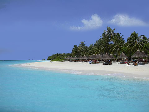   Maldivesperfectbeach