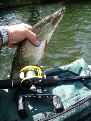 session float sur le doubs à Morteau(25) 1244979982