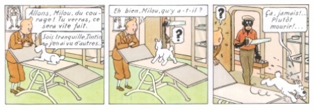 les perles de l'oral - Page 9 Tintin_au_congo_P._3