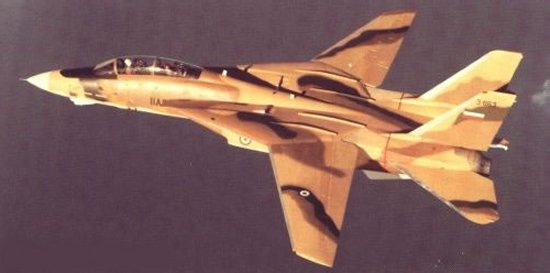 افضل طائره في القوات الجويه الايرانيه ,,,,, f-14tomcat - صفحة 2 F14_14